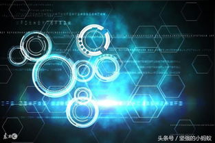 華美匯商城共享經濟模式App系統開發 智能科技產品的創新實踐